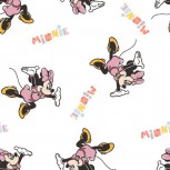 Mickey & Minnie